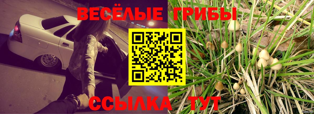 Псилоцибиновые грибы ЛСД Городец
